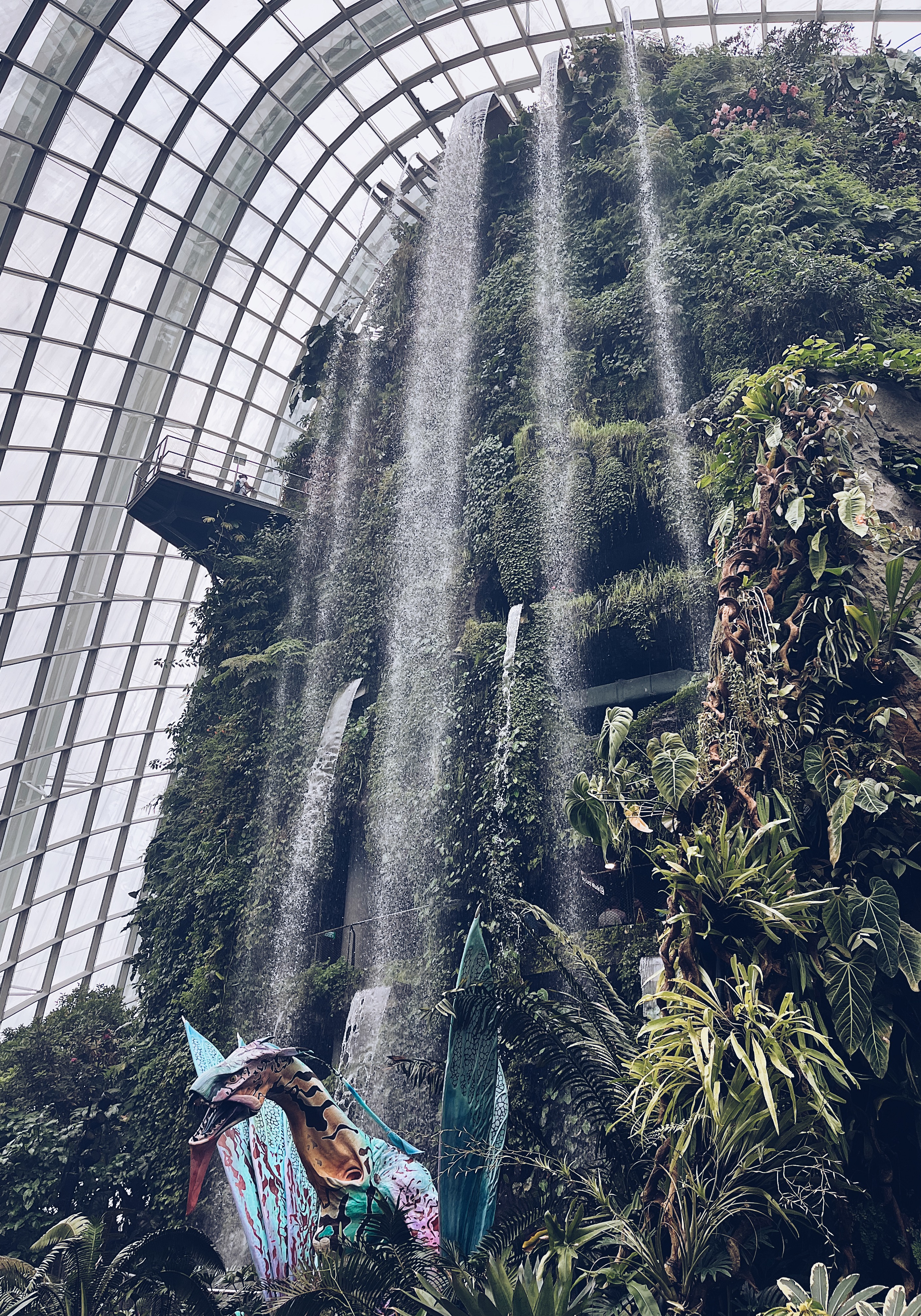 '雲霧林阿凡達特展'