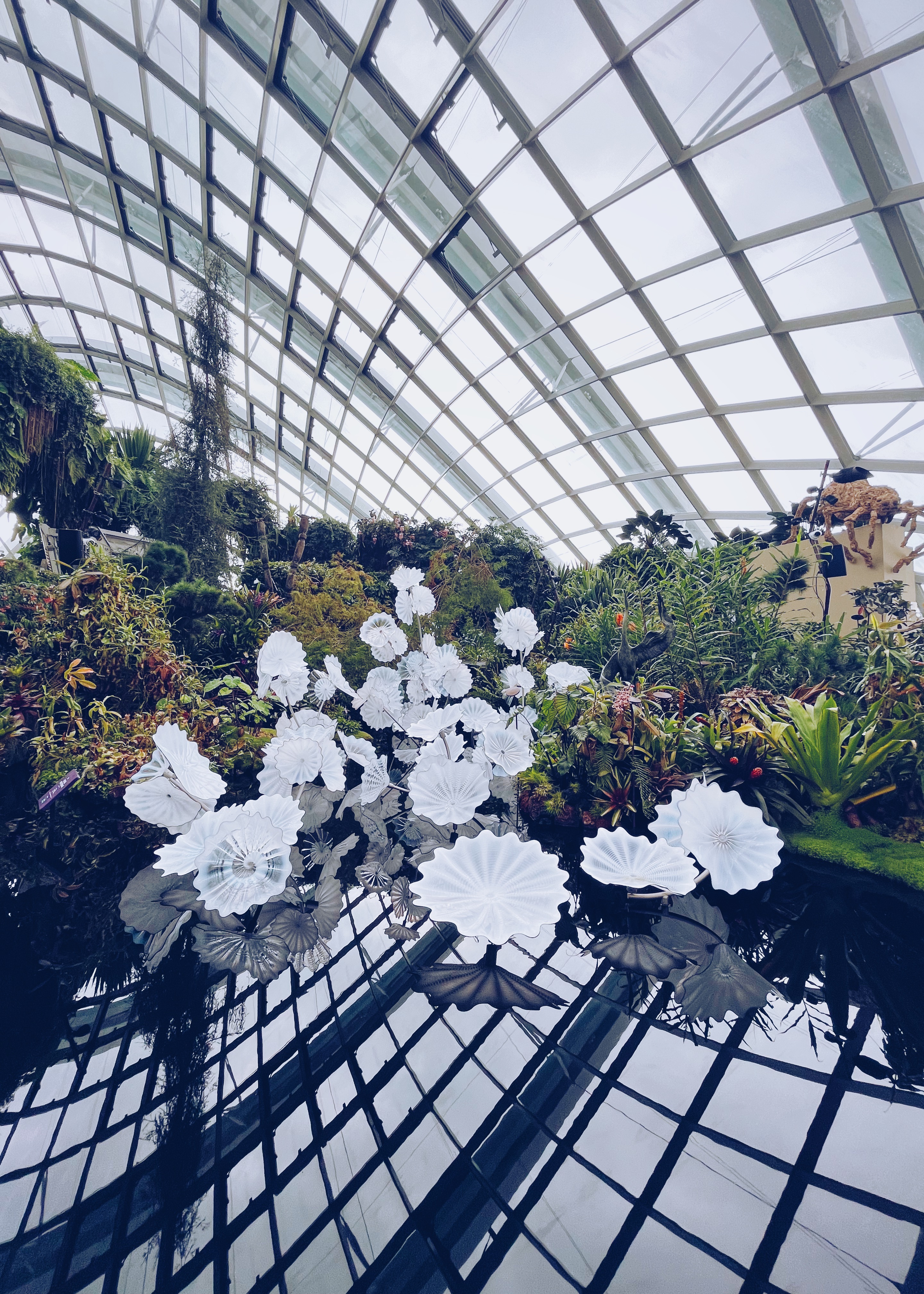 '雲霧林阿凡達特展'