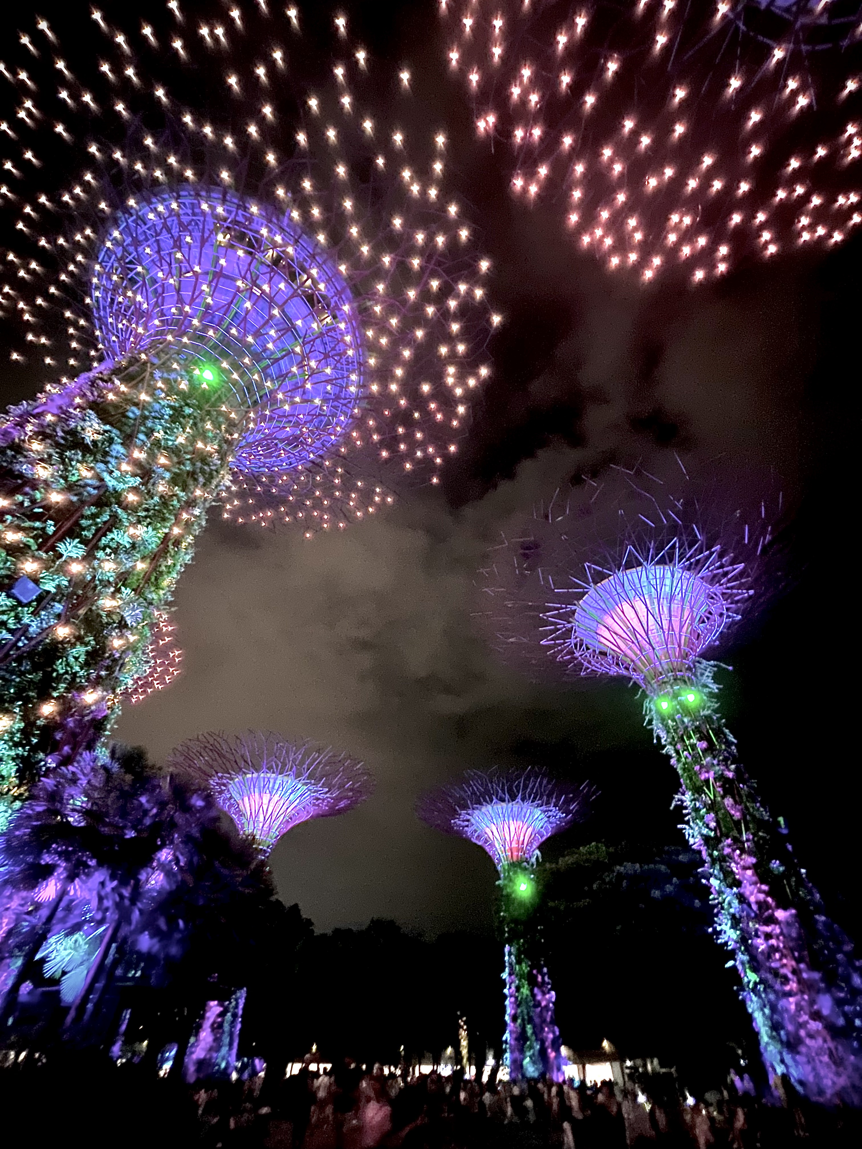 Supertrees at night